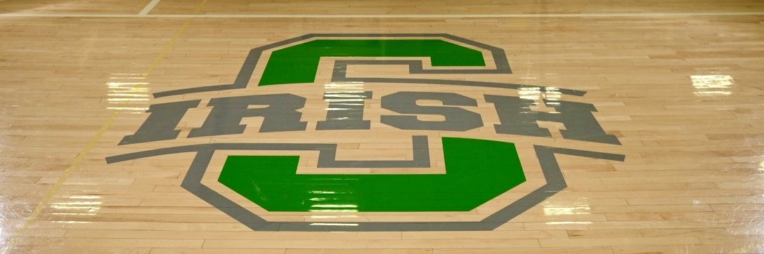 Irish Rebounders banner