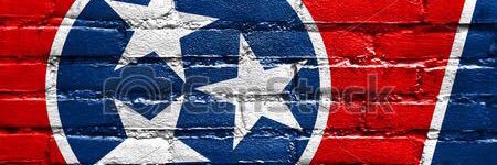 VestaviaVol's profile banner image