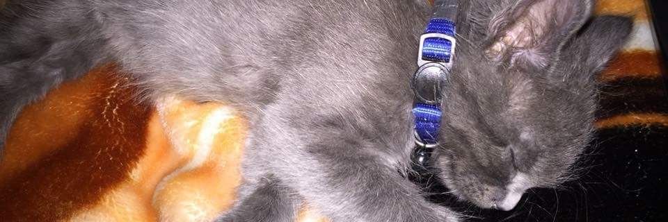 jaylarabeauty's profile banner image