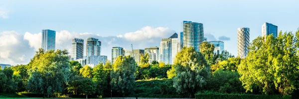 ResilienceFirst Profile Banner