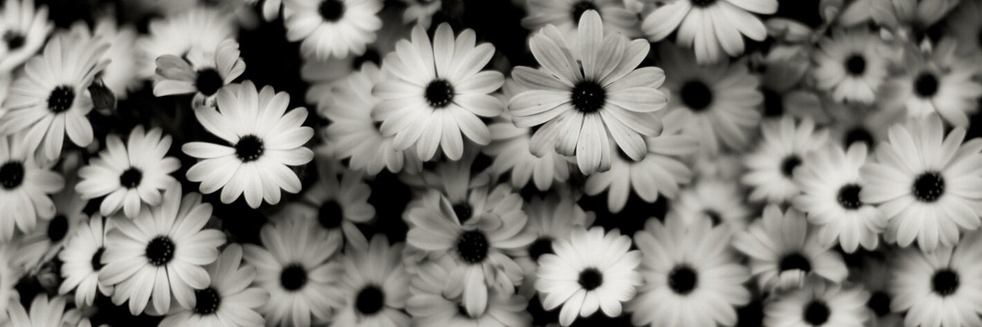 GabrieleCovin's profile banner image