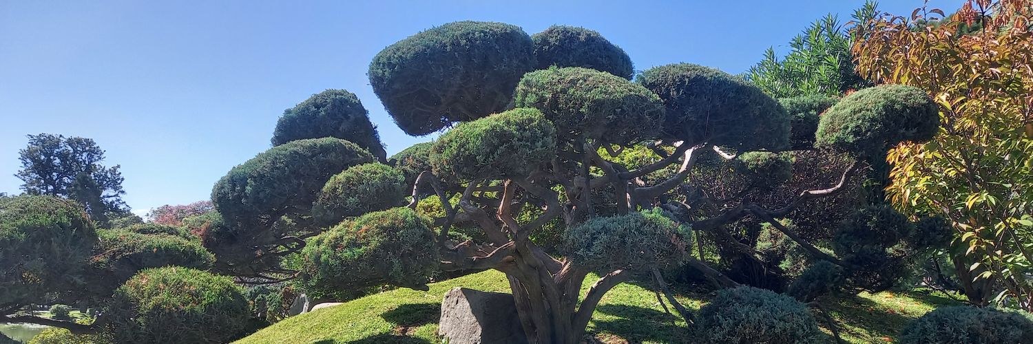 Andylauma's profile banner image