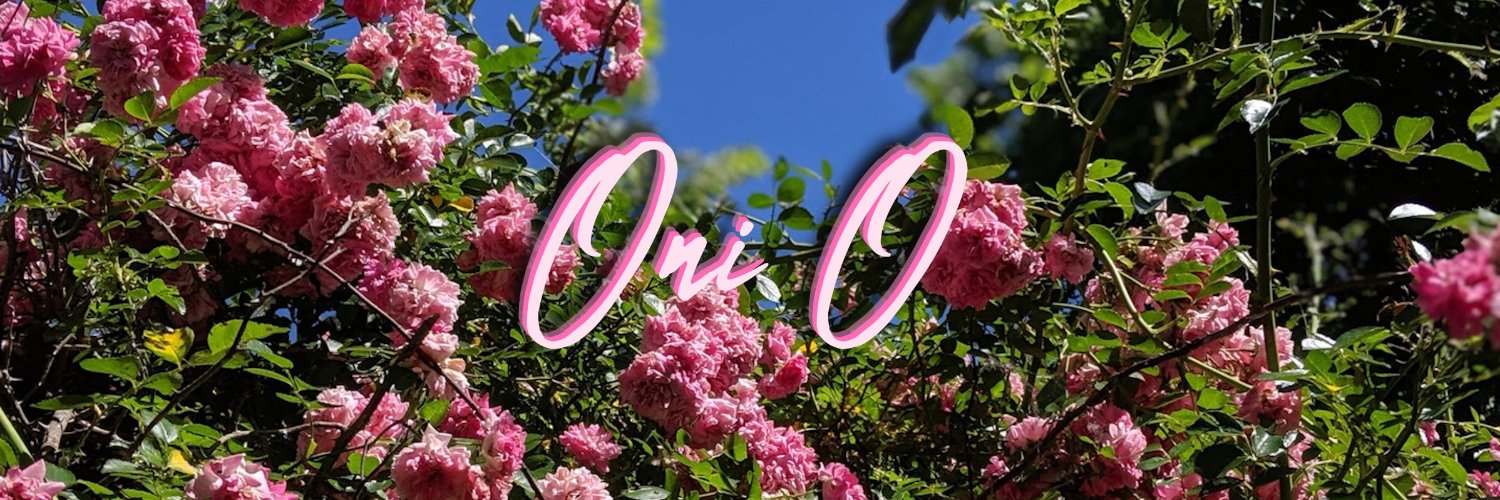 oni_o_'s profile banner image