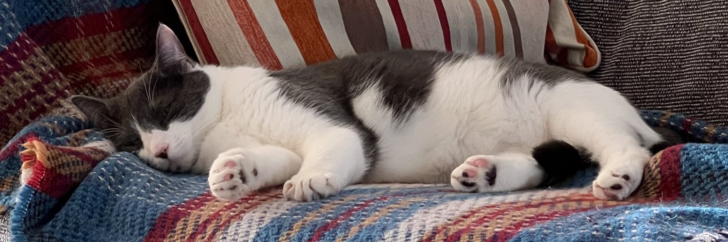 Dr. James Line banner