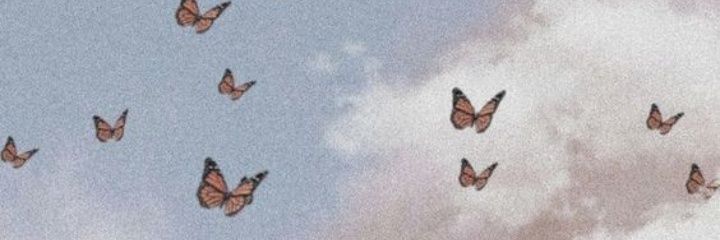 cami_bottallo's profile banner image