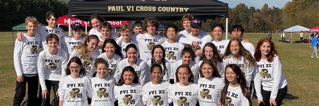 PVI Panther XC banner