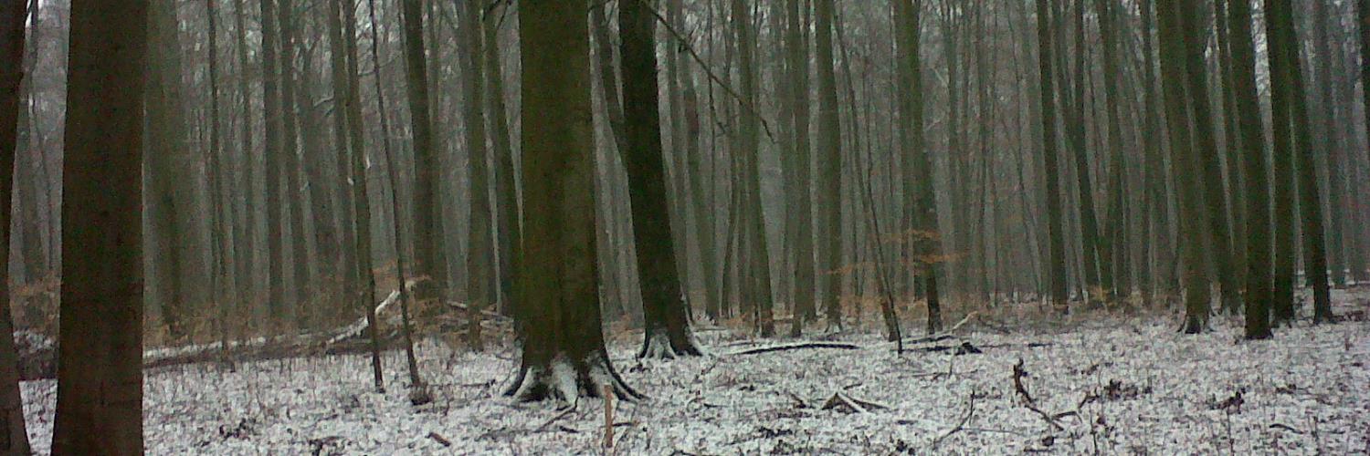 Georgina Mace banner