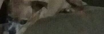 wourmannn's profile banner image