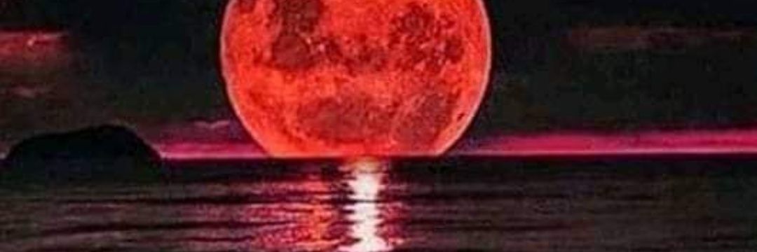 Morgan Le Fay banner