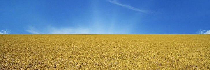 露の一方的な烏侵略に抗議するouro1008 banner