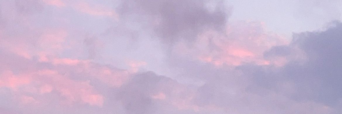 fluffyfusco ✿ *💭 banner