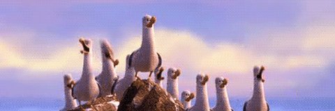 DMUSCUBA's profile banner image