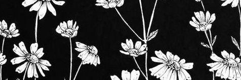 ʟᴀʀᴀ banner