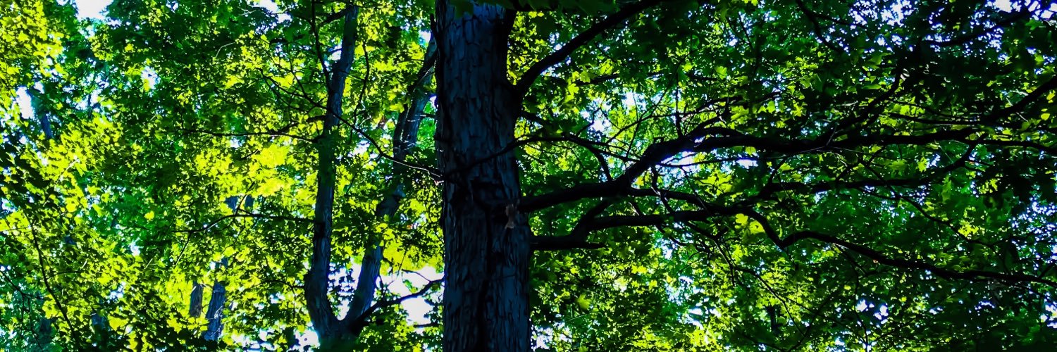 EmmanuelMJoseph's profile banner image