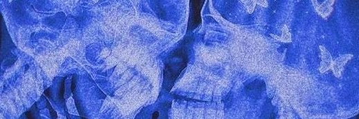 Barbara Split ✨ banner