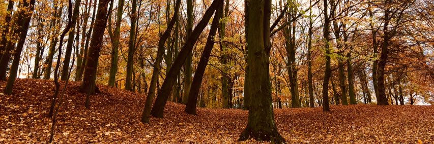 SamL_Kerr92's profile banner image