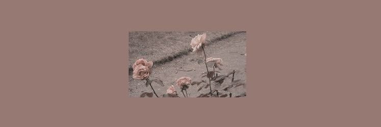 izzy ✿ banner
