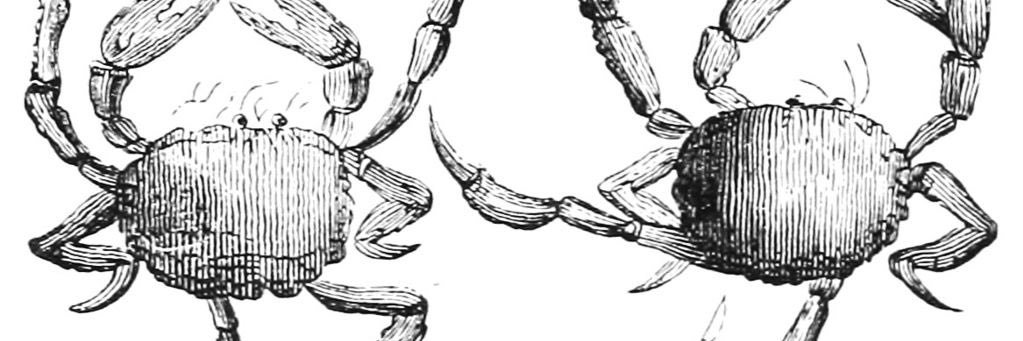 robatani's profile banner image