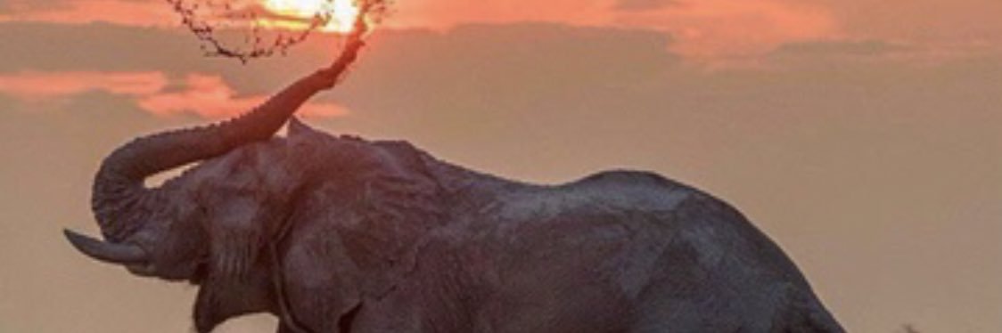 Yapsone10's profile banner image