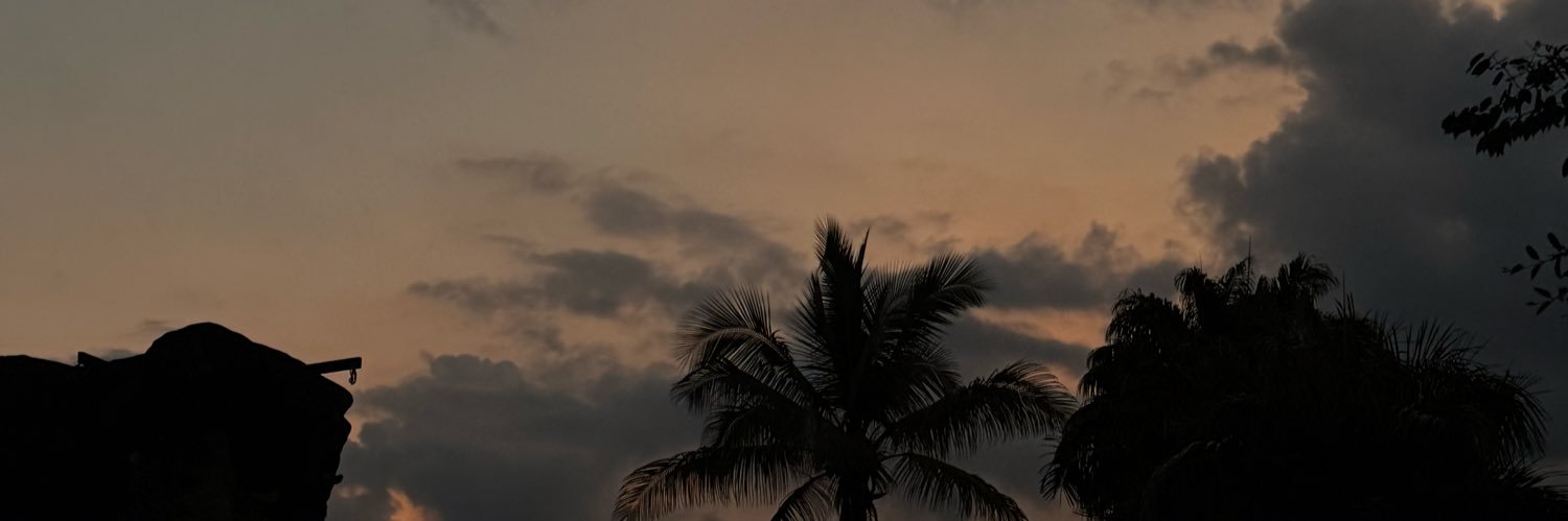 chabelavinagre's profile banner image