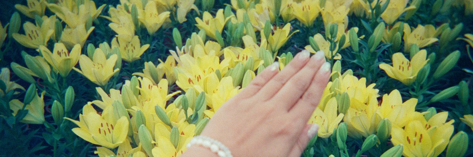 SlynTay's profile banner image
