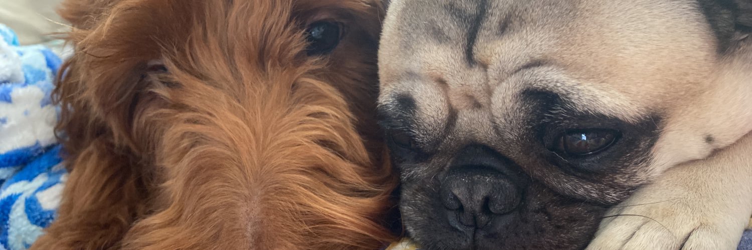 Jason Folmsbee banner