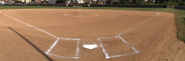 SoftballCMU Profile Banner