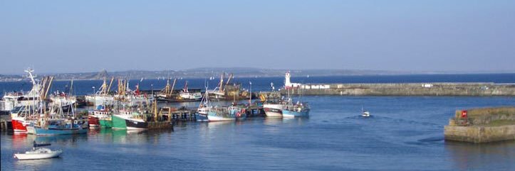 The Swordfish Inn banner