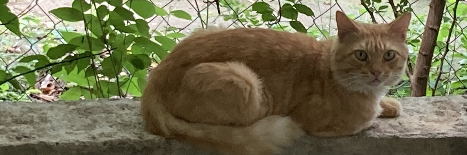 janintwit's profile banner image