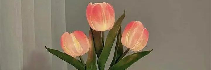 Montse_Landa's profile banner image