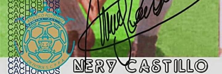 NERYR's profile banner image