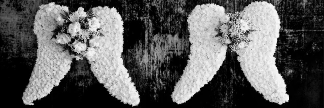 dmqua101's profile banner image