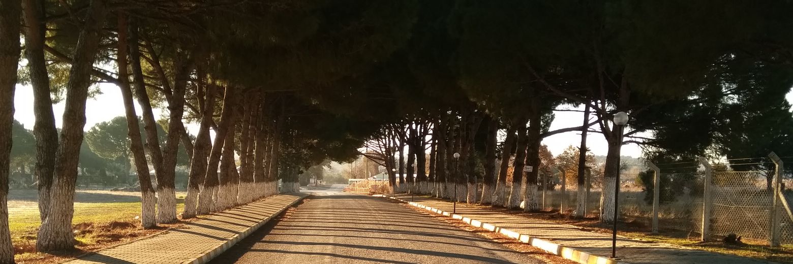 17bergaz's profile banner image