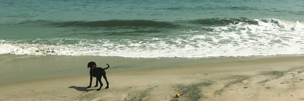 Ms_Mountz's profile banner image