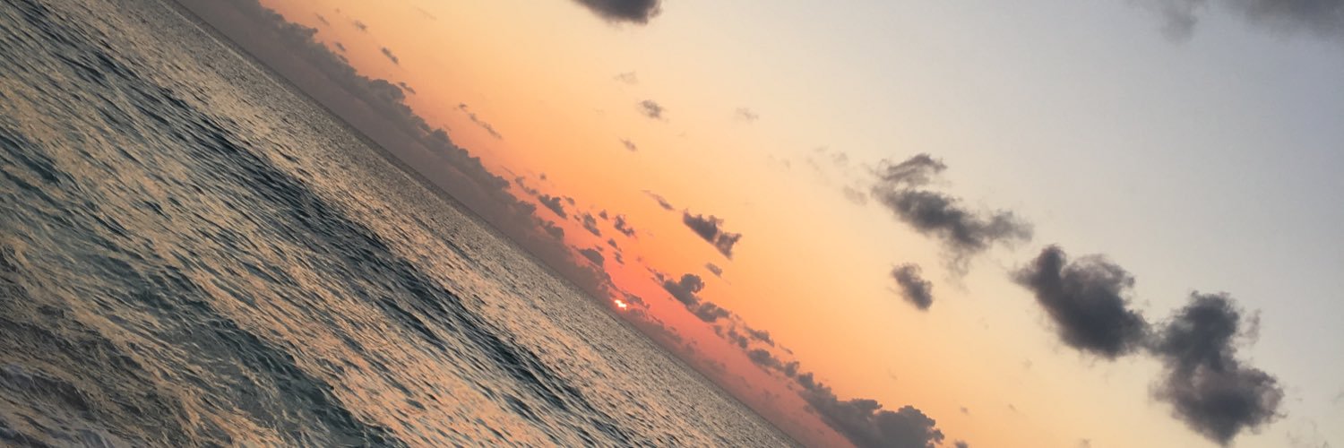 allboutroy's profile banner image