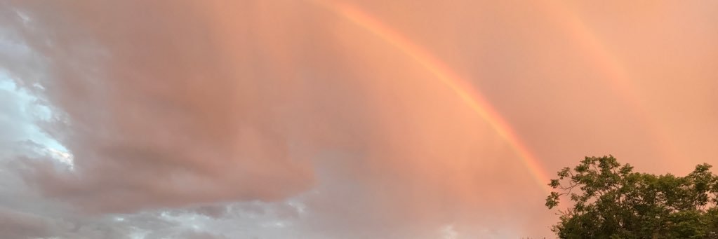 Julieehunn's profile banner image
