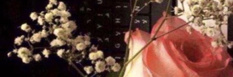toog_gg's profile banner image