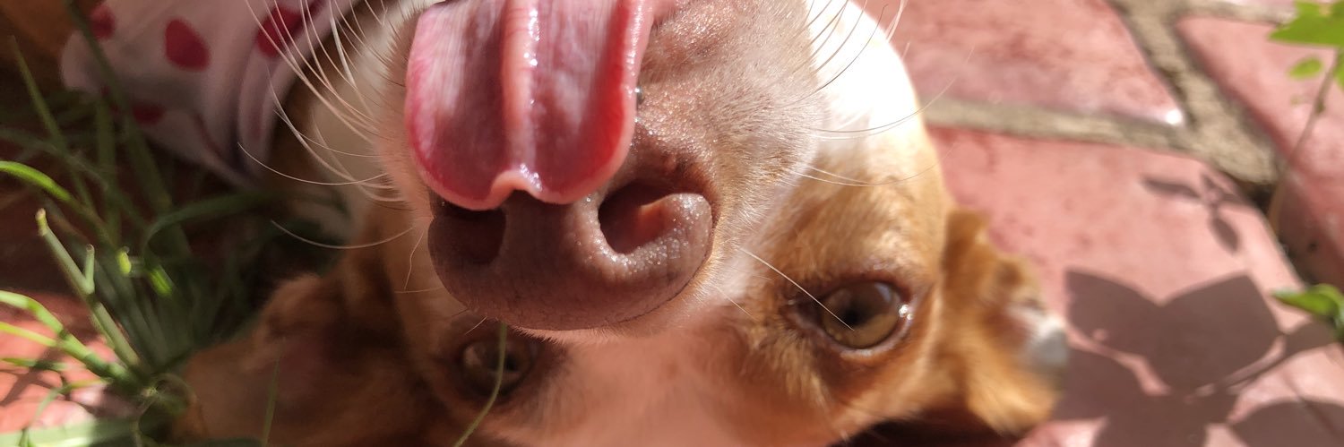 vglj_'s profile banner image