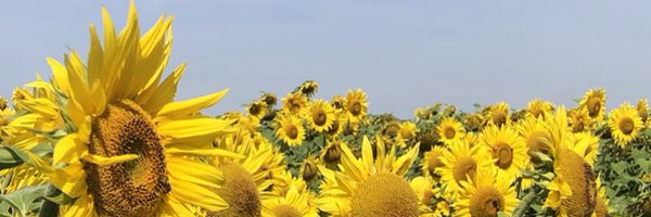 AnneLetsch Profile Banner