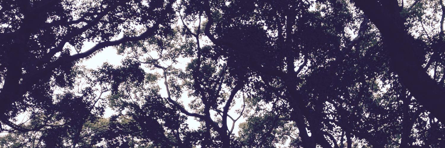k6932's profile banner image
