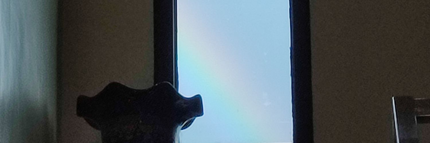 ajel🪷🦋 banner