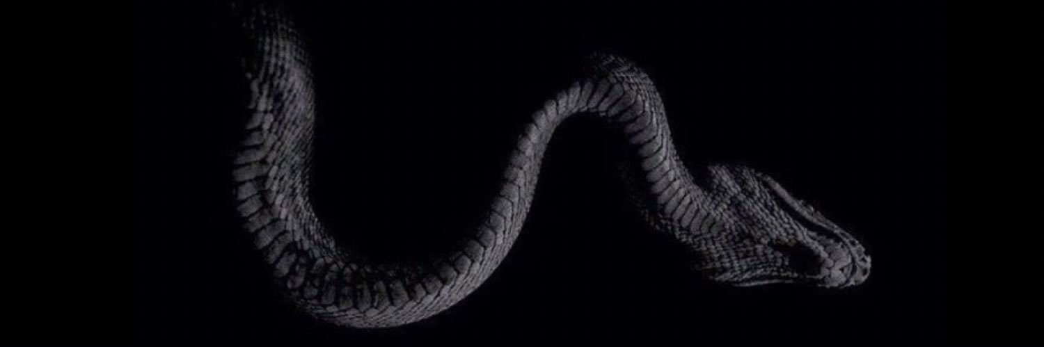 alomartinezli's profile banner image