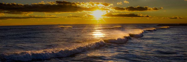 HeyNardo Profile Banner