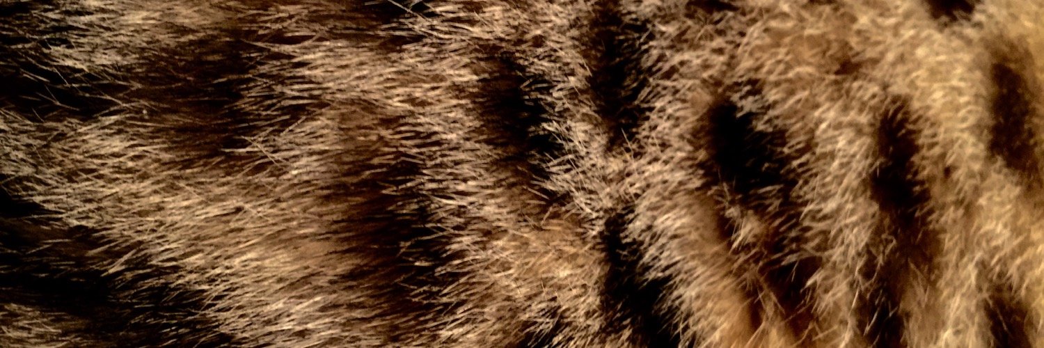 noborunrun's profile banner image