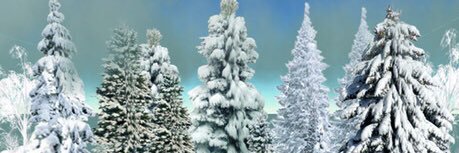 t_peree's profile banner image