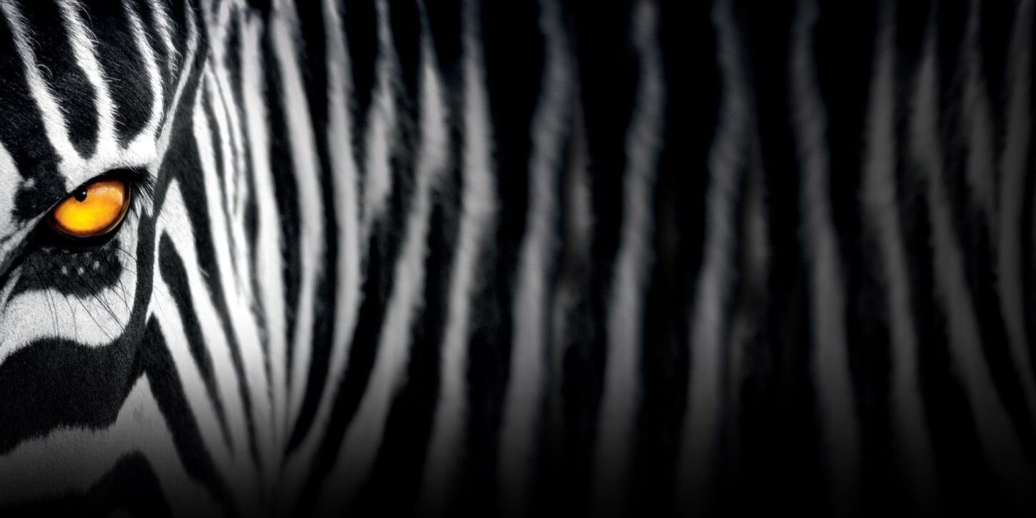 bwp28's profile banner image