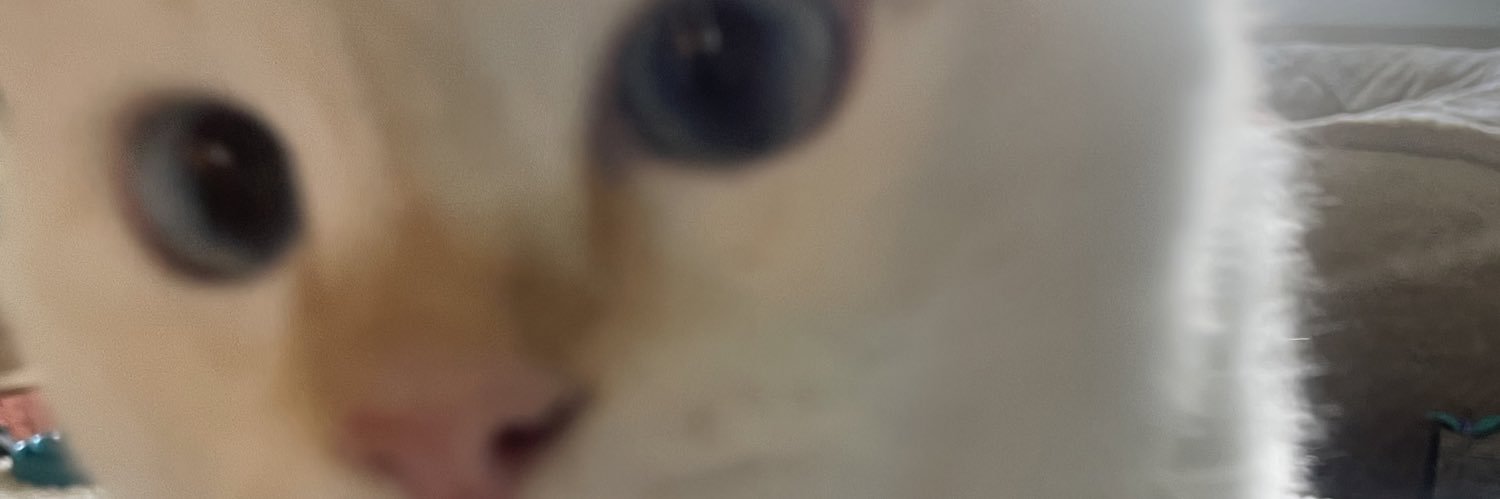 Mackenzie Kade banner