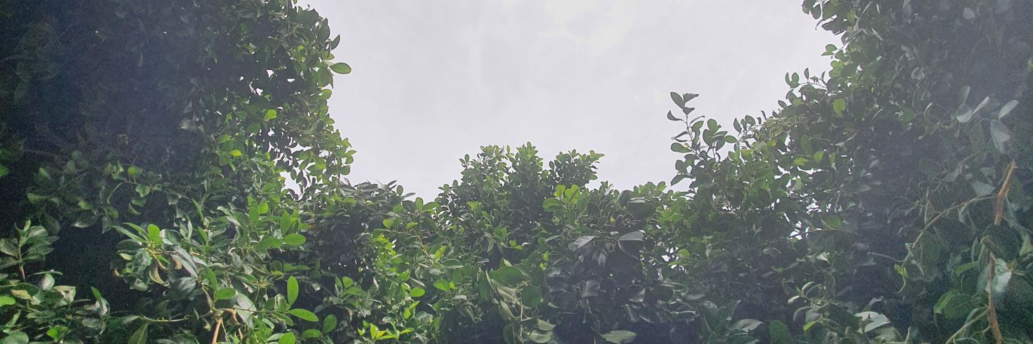 KUBOSOUND's profile banner image