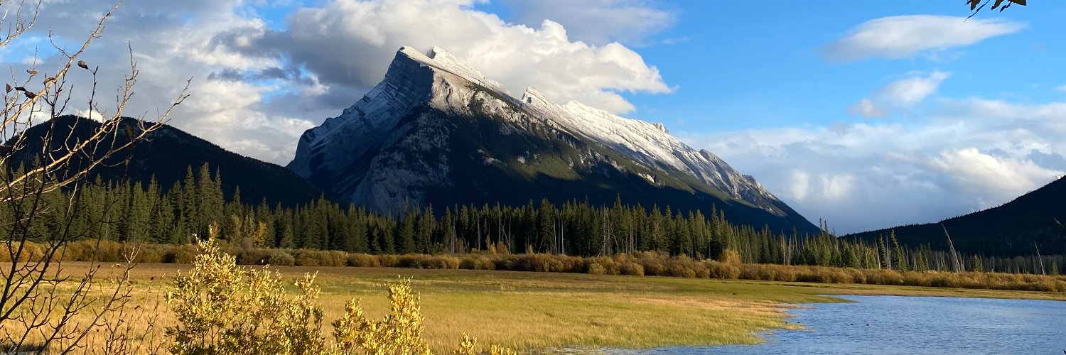 Stephanie Simpson banner