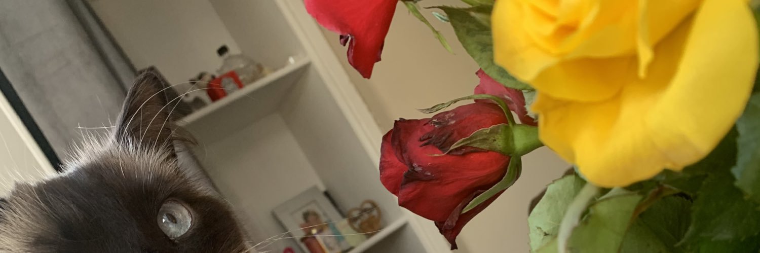 Chloesnow98's profile banner image